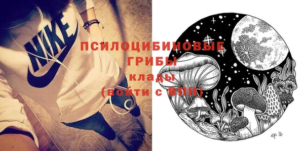 кокаин Белокуриха